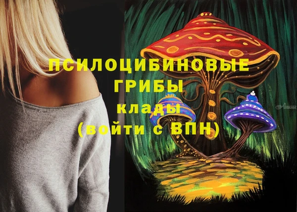 тгк Вязьма